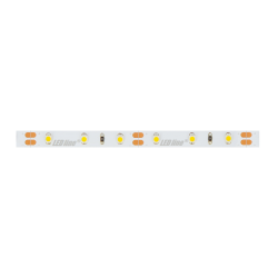 LED line Taśma 300 SMD 12V 11000K 4,8W 30m *