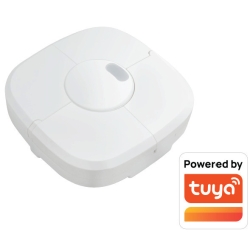 MERRYTEK on/off 120/277Vac, TUYA ZigBee, natynkowy *