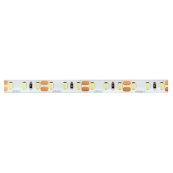 LED line Taśma 600 SMD 12V 11000K 9,6W IP65 *