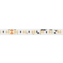 LED line Taśma 700 SMD 24V 2200-3000K 12W DIM *