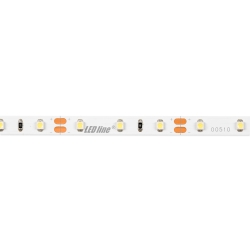 LED line Taśma 300 SMD 12V 6500K 4,8W *