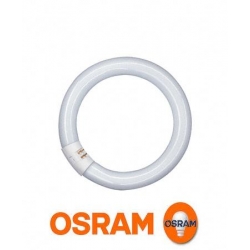 osram L22W 840C świetlówka kołowa